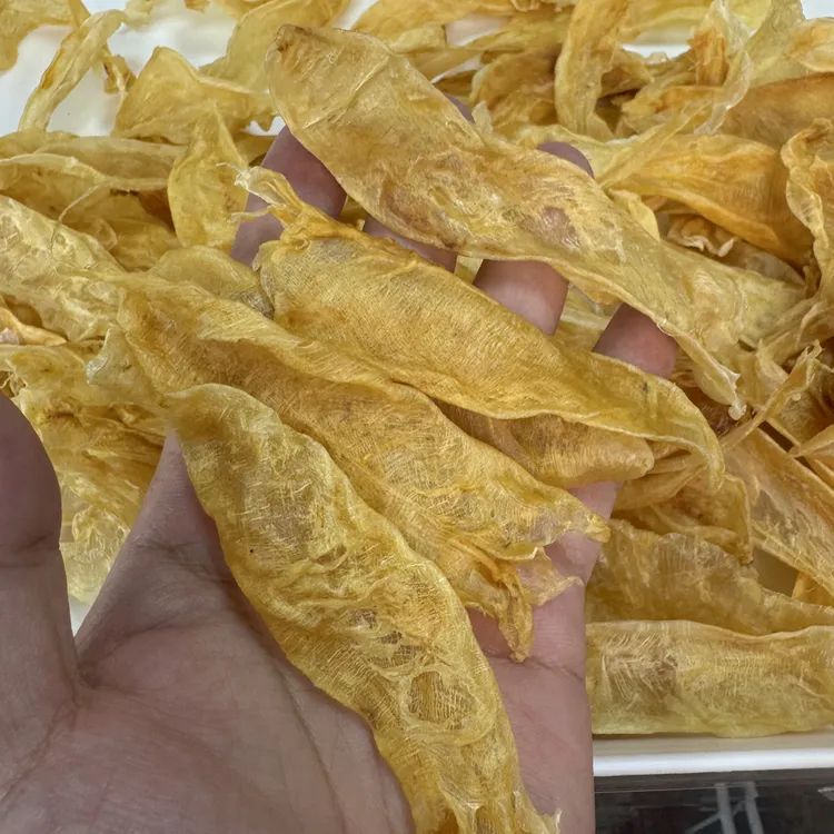 220头野深佐罗（7年胶龄）鱼胶花胶煲汤