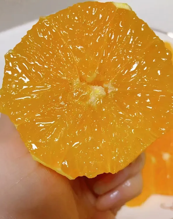 奉节脐橙现摘现发