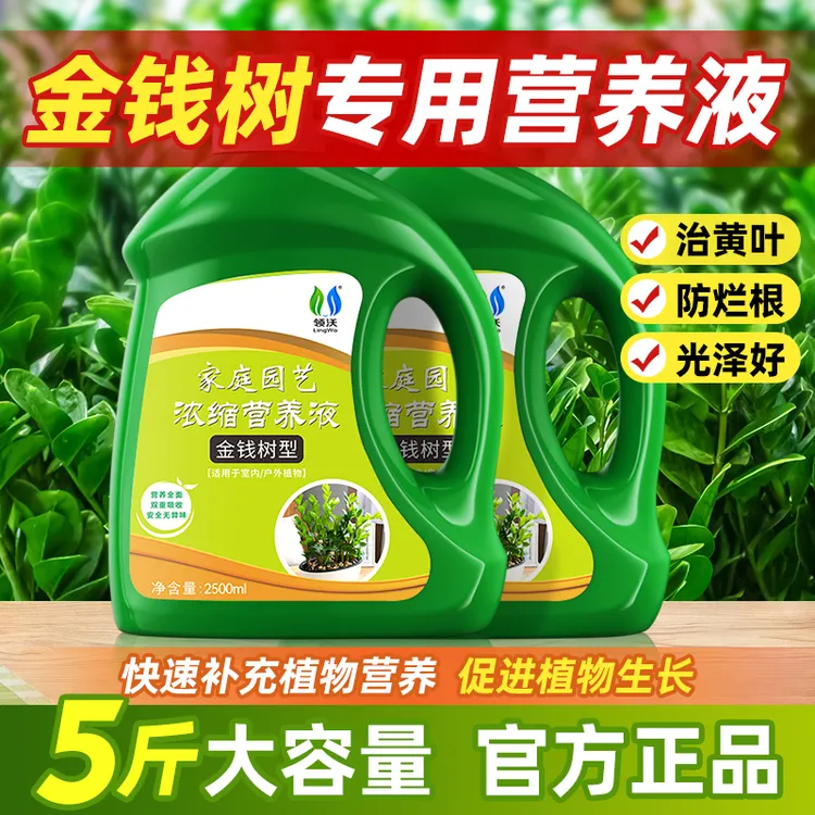 【买一送一】金钱树专用营养液治黄叶促生根室内植物花卉盆栽通用型