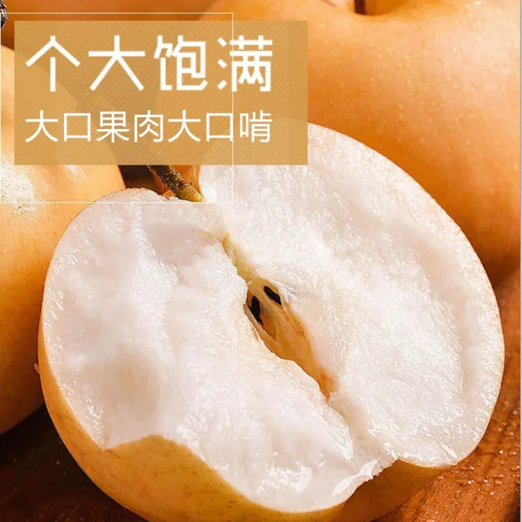 正宗山东秋月梨产地现摘现发新鲜脆甜多汁中秋送礼精品大果