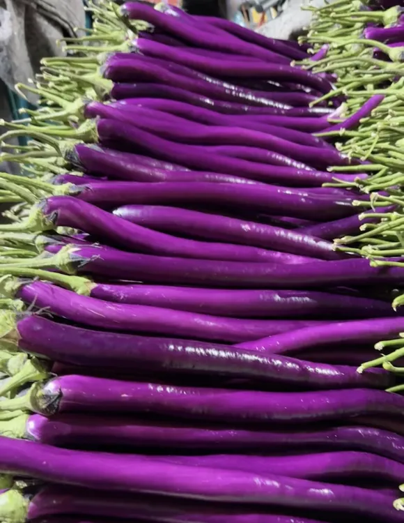 产地直发新鲜农家线茄子皮薄肉嫩现采现发