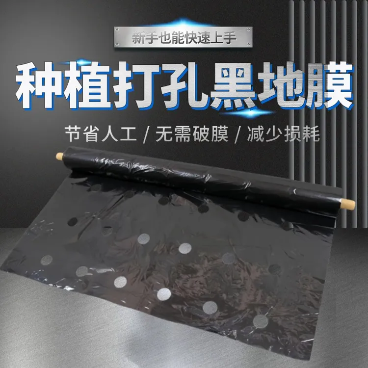 农用加厚打孔黑色地膜除草膜果树园蔬菜大棚玉米种地专用
