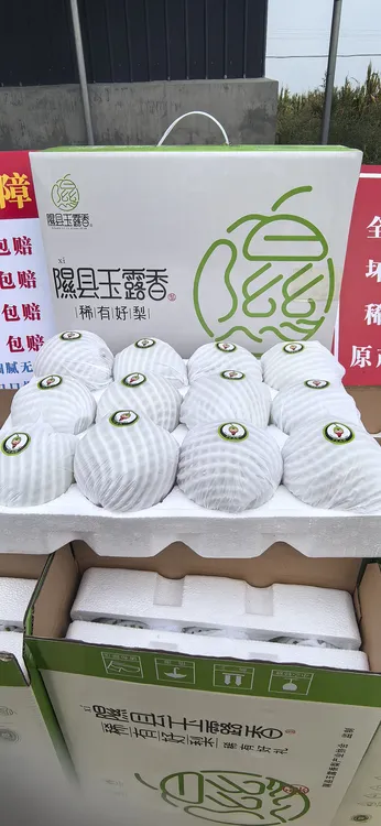山西隰县玉露香梨脆甜多汁细腻化渣产地直发包邮