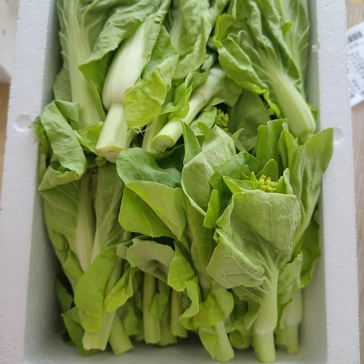 贵州新鲜白菜苔菜心现摘先发时令蔬菜产地直发