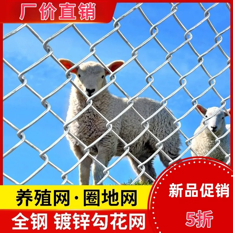 热镀锌钢丝勾花网养鸡鸭狗隔离加厚铁丝网圈地牛羊果园防锈围栏网