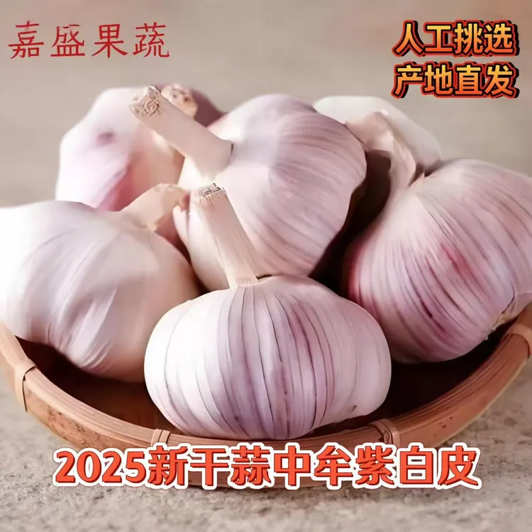 2025年新干蒜农家自种中牟紫白皮大蒜3斤5斤9斤(含箱重）