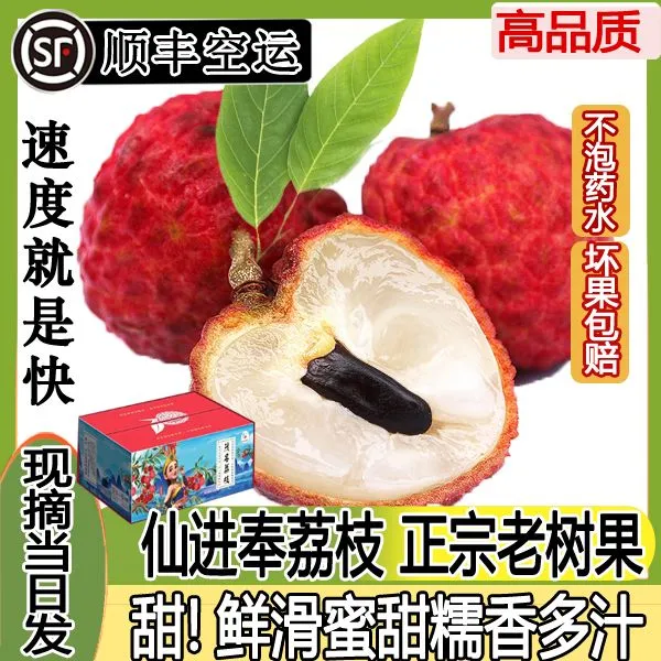 【顺丰空运】广东增城仙进奉荔枝仙村老树5/10斤礼盒装现摘冷链保鲜
