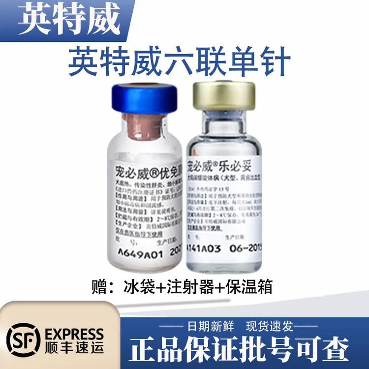 进口英特威六联疫苗宠必威优免康乐必妥犬用细小犬瘟6联钩端疫苗