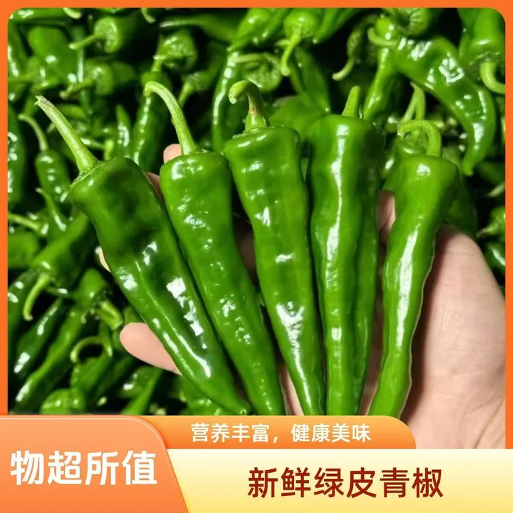 农家自种新鲜辣椒辣妹子皮薄现摘现发