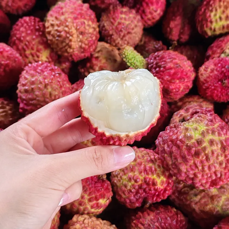 1海南正宗荔枝王新鲜荔枝采摘皮薄肉厚清甜爽口当季水果冷链发货