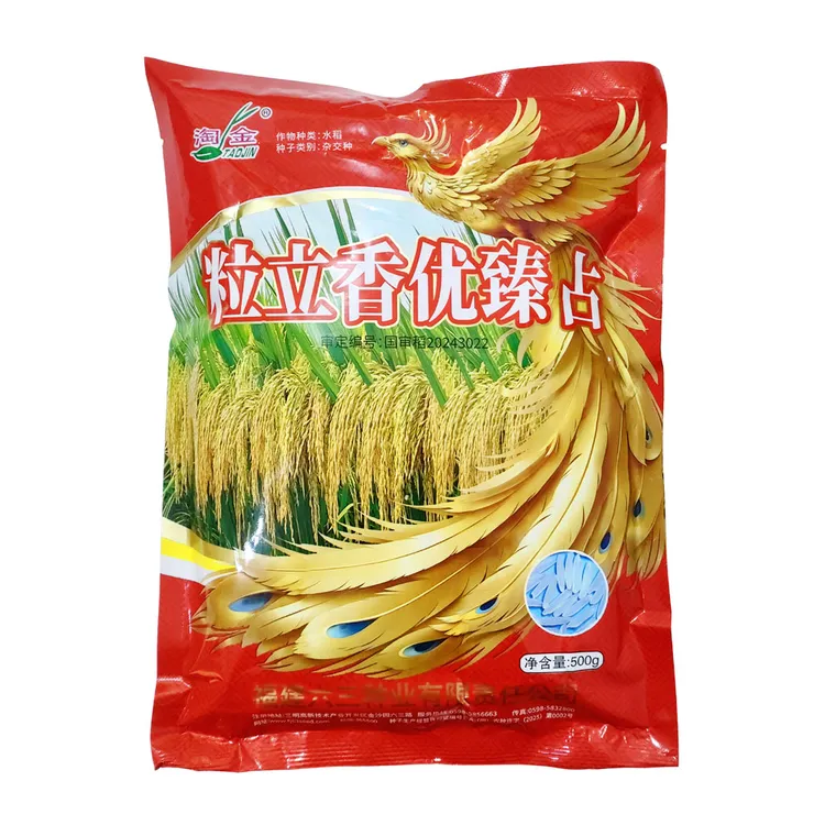 正宗粒立香优臻占谷种水稻种子高端浓香长粒型大米好吃卖相好高产