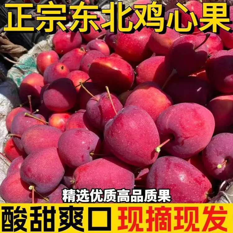 【头茬鲜果】东北特产鸡心果小苹果锦绣海棠果脆甜多汁新鲜批发