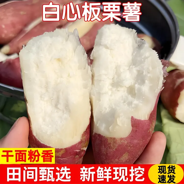 红皮白心板栗白皮辅食粗粮粗粮地瓜农家自种农村白心粉糯板栗红薯