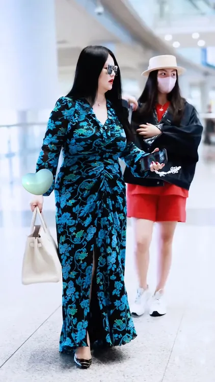 李湘同款修身显瘦印花长款连衣裙抽褶设计V领长袖裙子