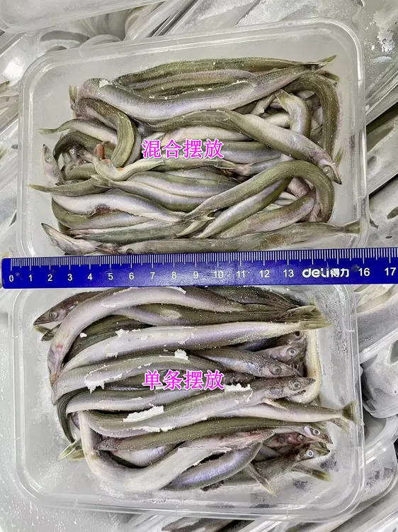 【麦创优选】海钓鱼饵油滚子万针鱼面条鱼鲅鱼炮弹老板鱼船钓鱼饵