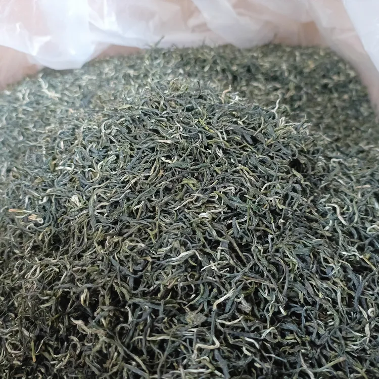 大瑶山春茶云雾绿茶 绿茶天然品质甄选好茶