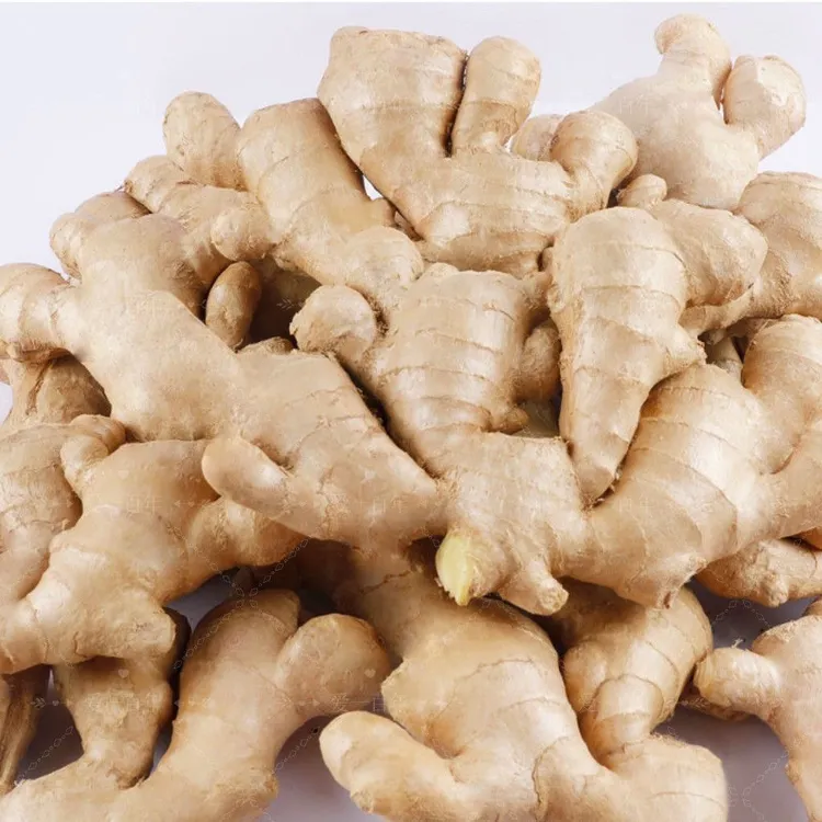 正宗山东泥土姜山地种植【小块姜]香味浓郁辛辣够味产地直销生姜