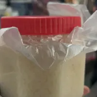 优【甜酒】湘西农家自酿糯米甜酒