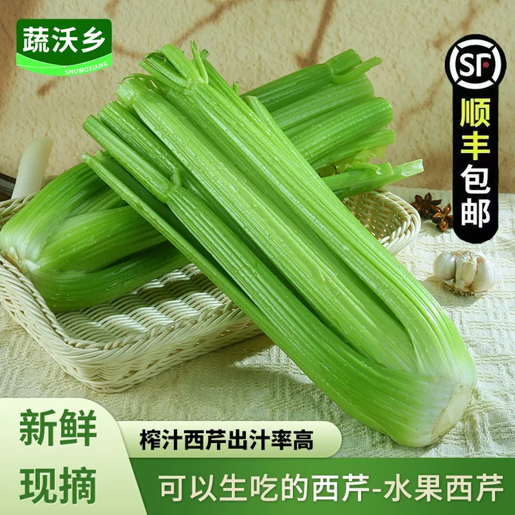 【顺丰包邮】榨汁西芹寿光新鲜蔬菜榨汁专用水果西芹无叶山芹晚餐