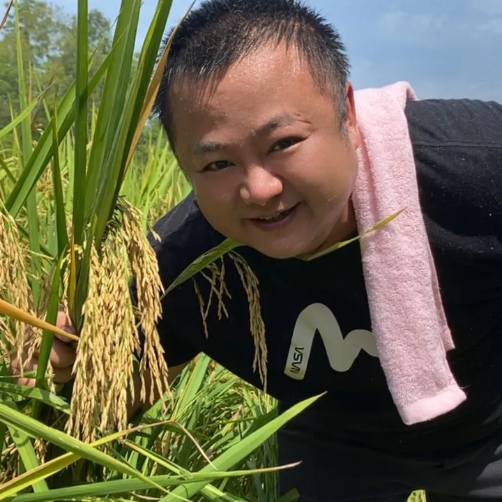 2025年新米正宗长粒鲜米现磨现发米饭软糯煮饭巴适