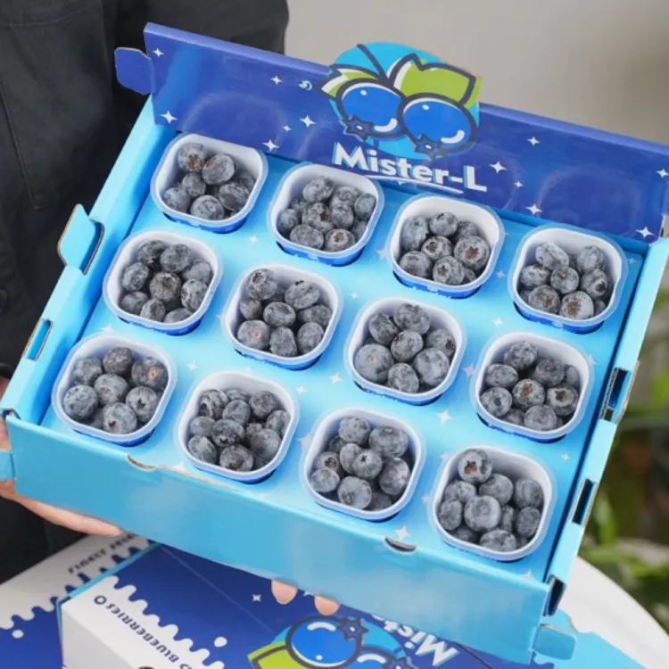 林烁蓝莓 稀有品种M29【必入款】刷新认知高甜带花香18mm+顺丰包邮