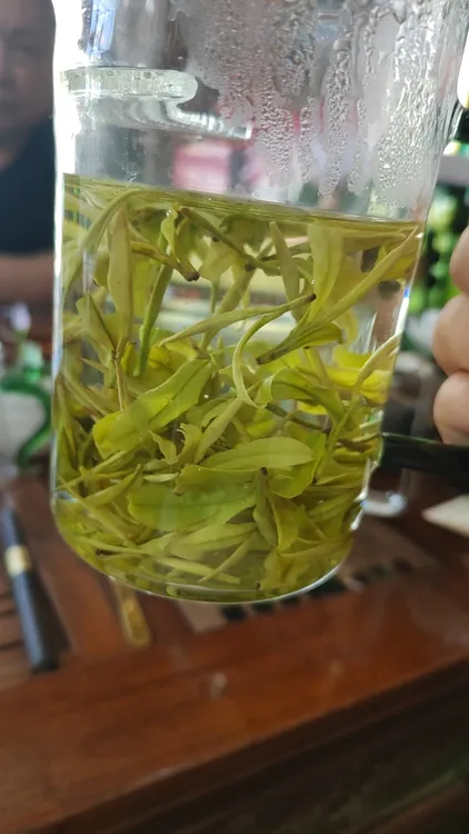 新茶春茶明前高山珍稀白茶毛峰豆香兰花香鲜爽回甘