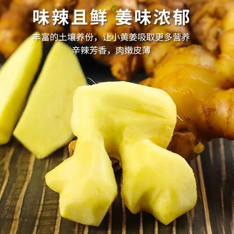 云南小黄姜新鲜生姜香辣十足老姜嫩姜0.5-9斤坏果包赔当季鲜姜