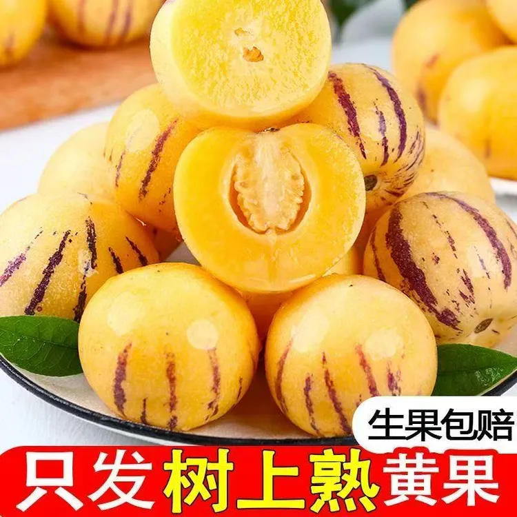 水果夫妇【只做树熟果】云南石林树上熟黄肉圆果果新鲜清甜多汁应季水果