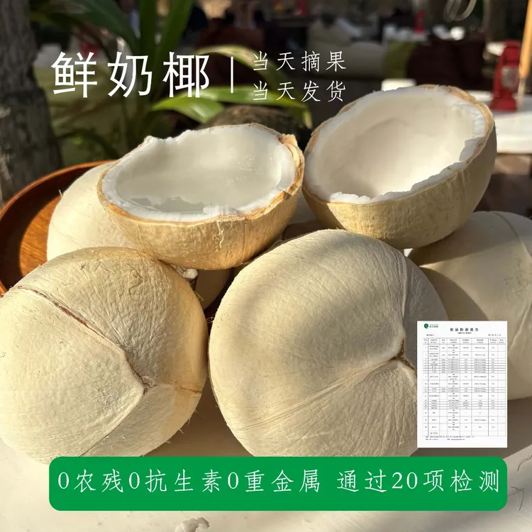 【当天发货】海南奶椰/椰皇/牛奶椰/椰青精品特大果海南新鲜椰子
