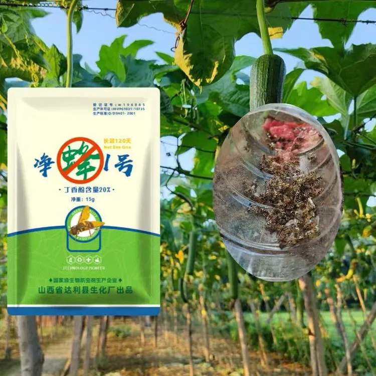 针蜂果实蝇大范围强效诱杀剂农民专用露天大棚果蔬农民专用通用