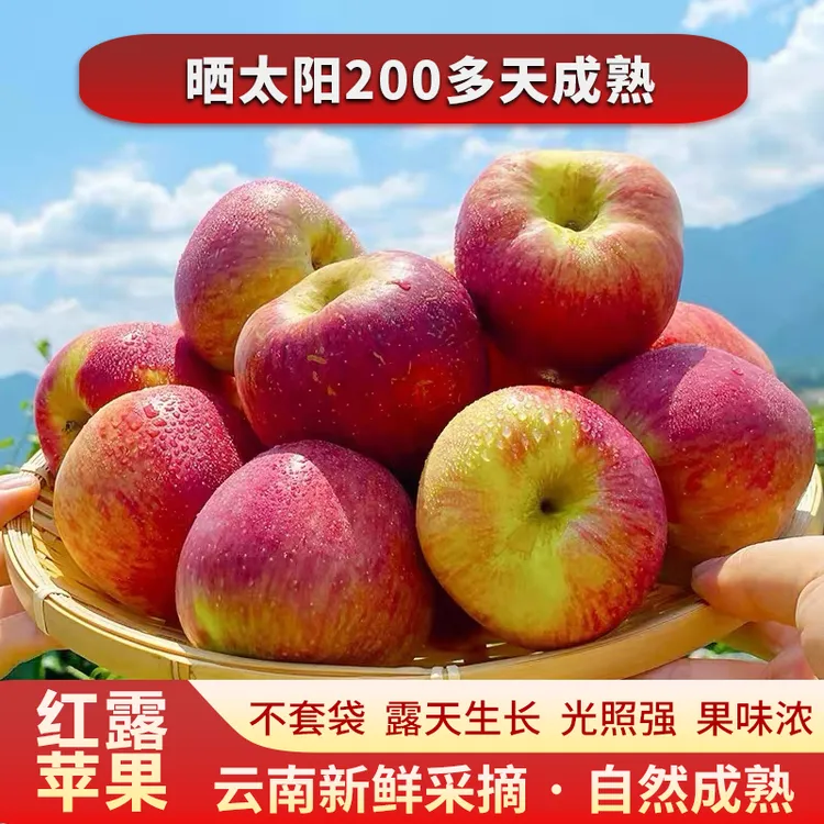 正宗云南高原红露苹果樱桃小苹果新鲜脆甜当季水果2/5/9斤