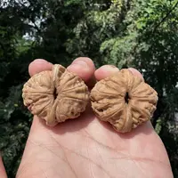 【中国涞水麻核桃协会】26 G40931-平谷元宝核桃-尺寸40mm