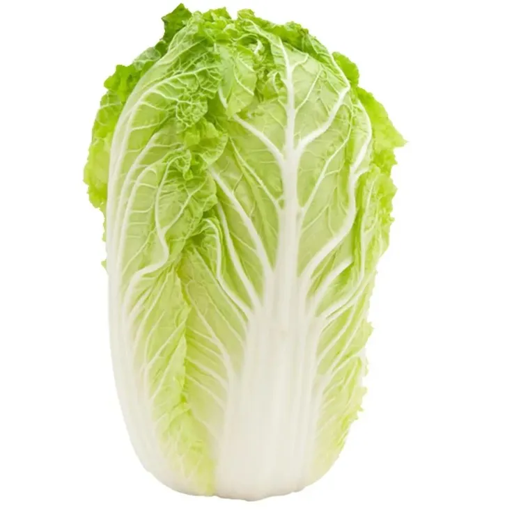 （包邮）苏北露天现挖现发大白菜