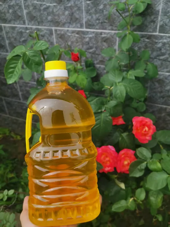 生榨黑芝麻油农家自榨点灯油拔月子油