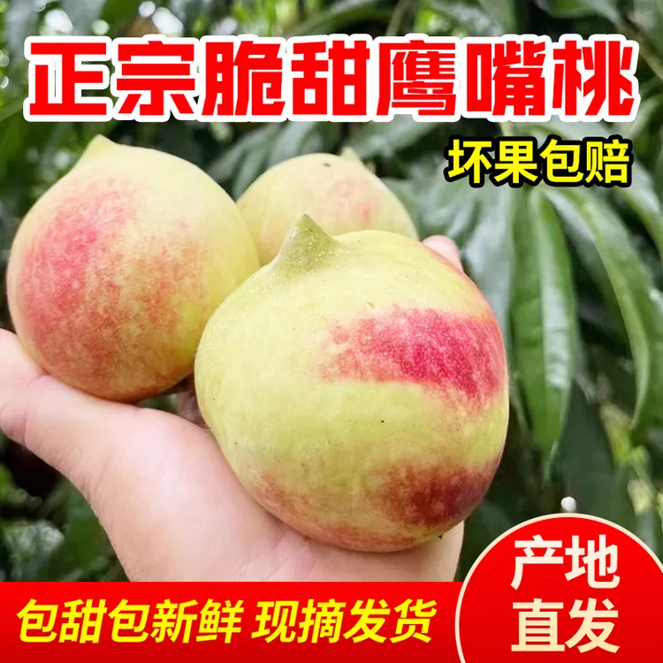 正宗广东鹰嘴桃新鲜现摘脆甜爽口多汁当季时令水果