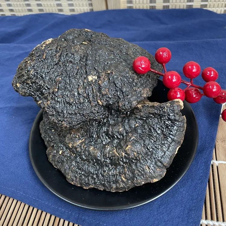 【海南产地】正宗薄树芝250g大自然人工采摘煲汤煲水
