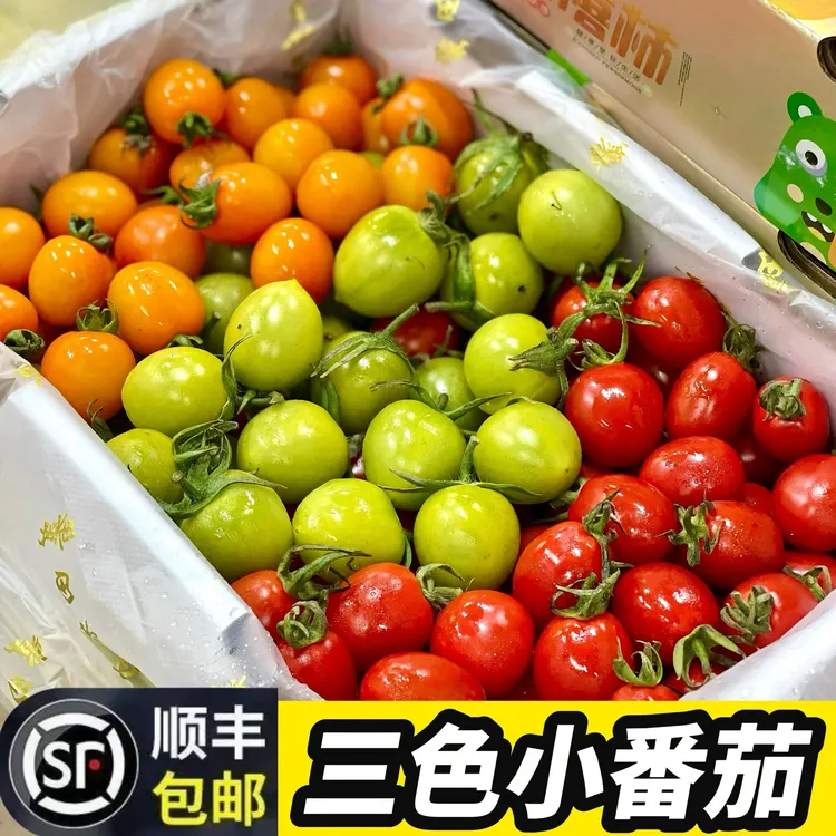 【顺丰包邮】千禧+青甜+迷恋3色混装小番茄 净重3斤圣女果酸甜多汁