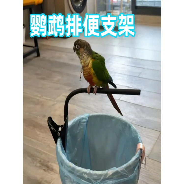 鹦鹉垃圾桶拉便便支架站杆定点排便站架耐咬磨嘴磨爪站棒鸟用玩具