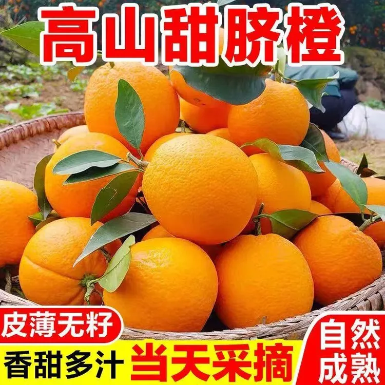 新鲜橙子正宗高山脐橙当季薄皮荷尔甜橙季冰糖多汁水果赣南同款