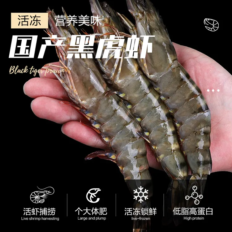 巨型黑虎虾新鲜速冻特大号鲜美老虎虾红虎虾鲜活盐冻特大号黑虎虾