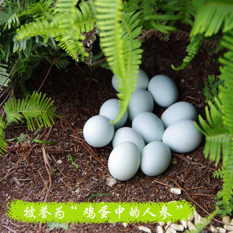 农村散养绿壳乌鸡五黑鸡土鸡蛋新鲜鸡蛋30枚包邮