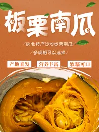 板栗南瓜  沙地瓜宝宝辅食粉糯香甜5斤 / 2—4颗  10斤/3—6颗