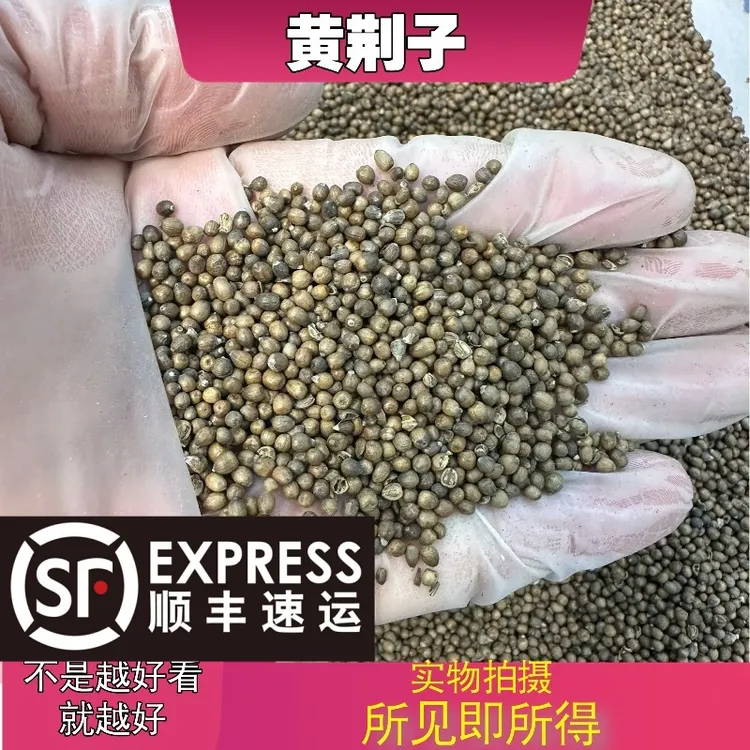 黄荆子成都中药材批发别名：荆子、黄金子、五指柑、山荆