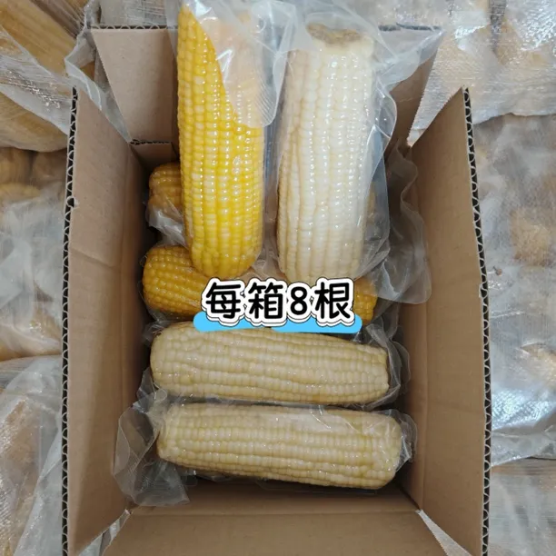王大姐2025新玉米东北鲜食粘糯玉米五常粘糯玉米混装（黄白各4根）