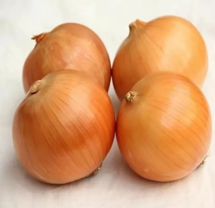 洋葱新鲜黑土地白洋葱脆甜 炒菜凉拌生吃配料（试吃2个坏烂果包赔）