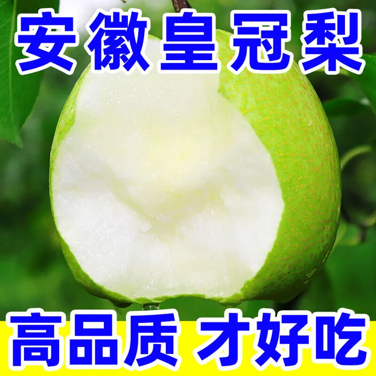 新鲜采摘砀山青皮梨皇冠梨头茬冠梨翠梨蜜梨皮薄脆甜多汁整箱批发