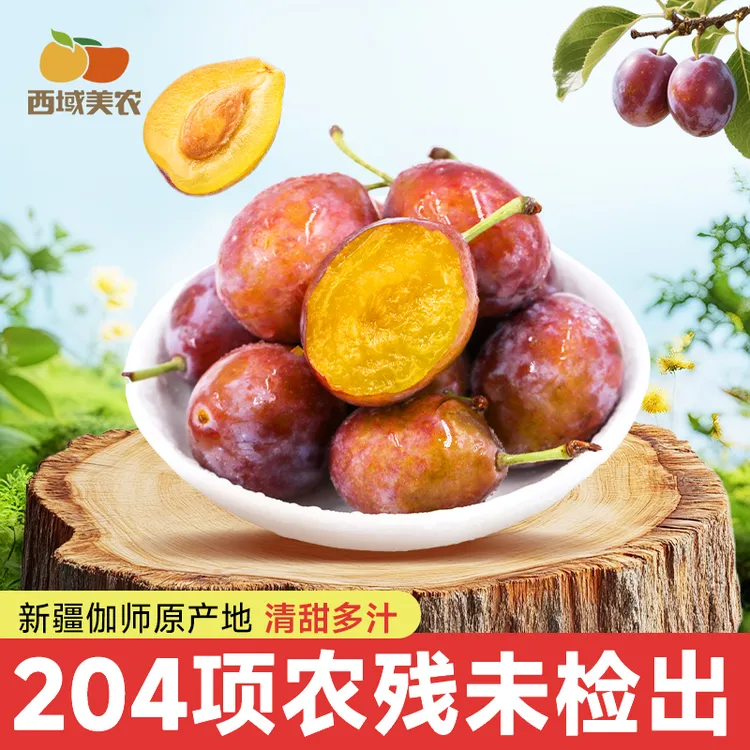 西域美农新疆伽师法兰西西梅3斤装 鲜甜多汁新鲜水果生鲜顺丰发货
