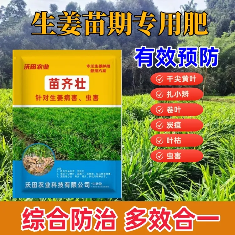 沃田农业苗齐壮预防姜瘟纹枯扎小辫卷辫子干尖黄叶含氨基酸水溶肥