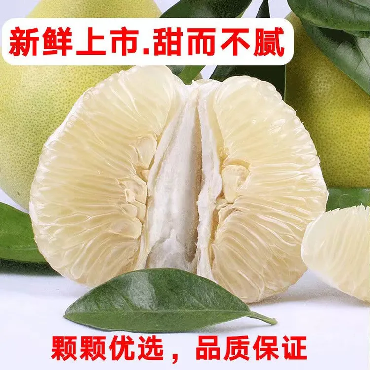 江西井冈蜜柚吉安柚子陶溪柚纯甜多汁现摘现发中秋节礼物水果