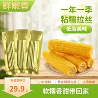 【试吃两根】25年东北黄糯玉米黑土地玉米240g/10根金色铝箔包装